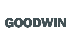 goodwin international