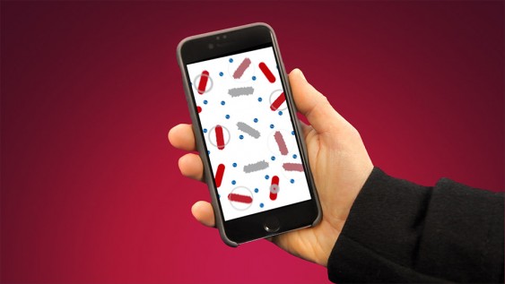 CeDo Mobile